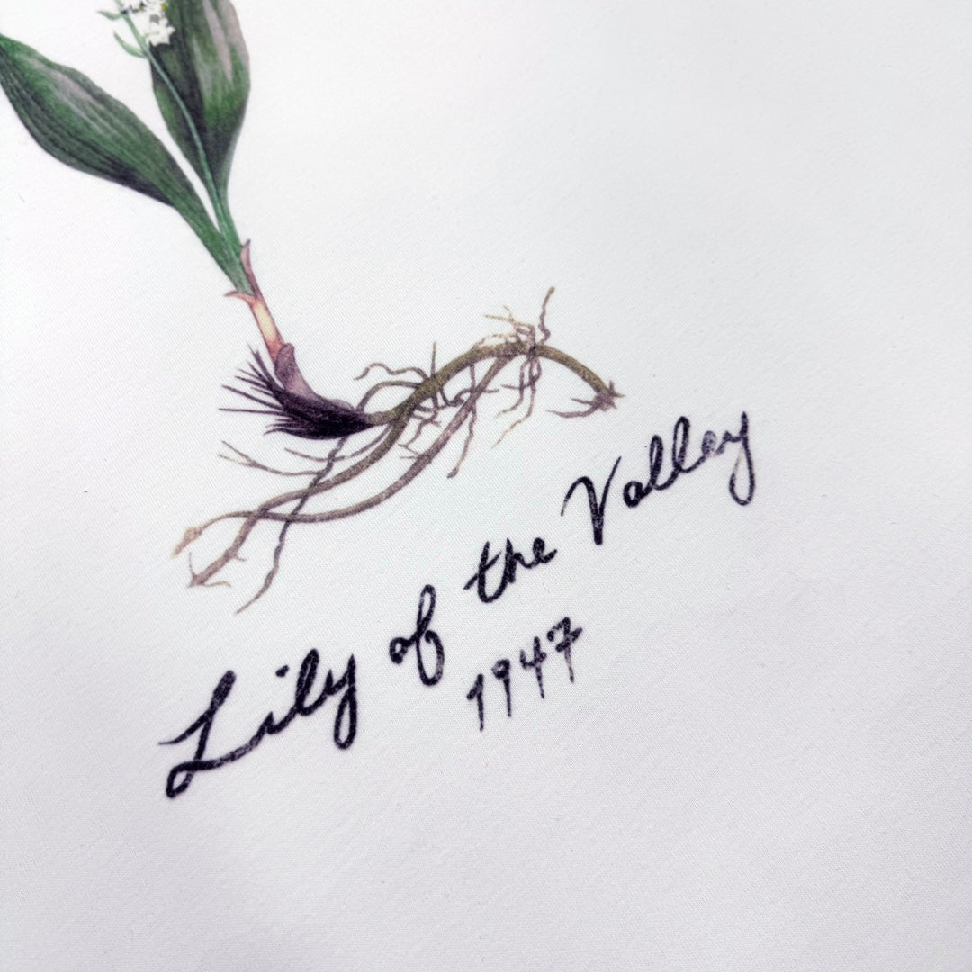 CD Cotton Short Sleeve shirt