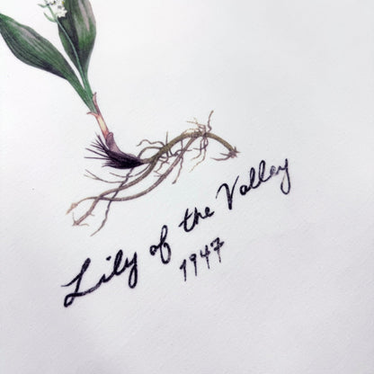 CD Cotton Short Sleeve shirt