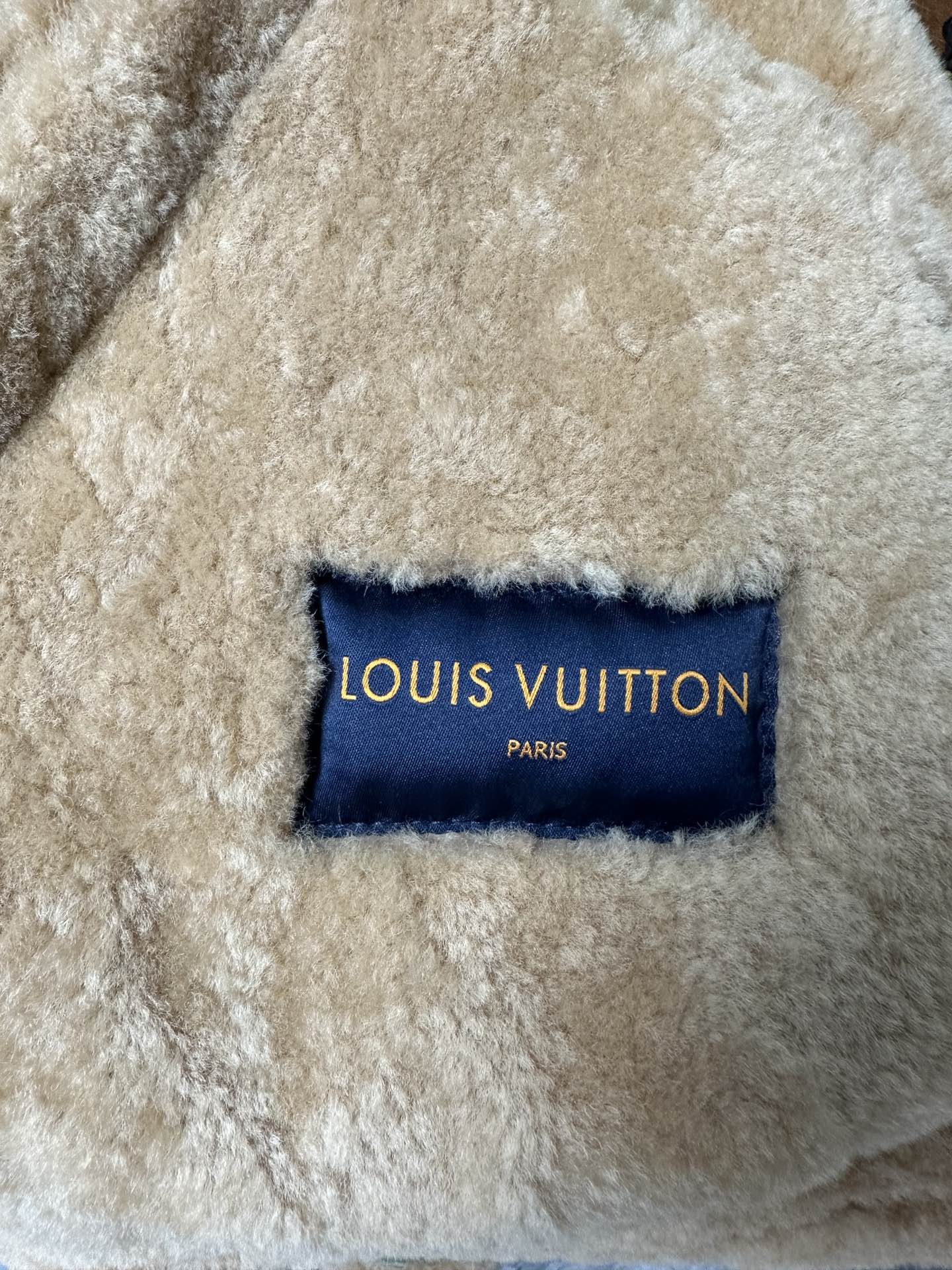 Lv Leather Aviator Jacket